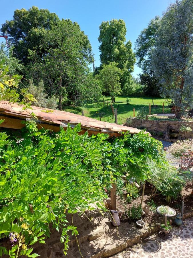 Lazy Days Bed and Breakfast Rancon Εξωτερικό φωτογραφία