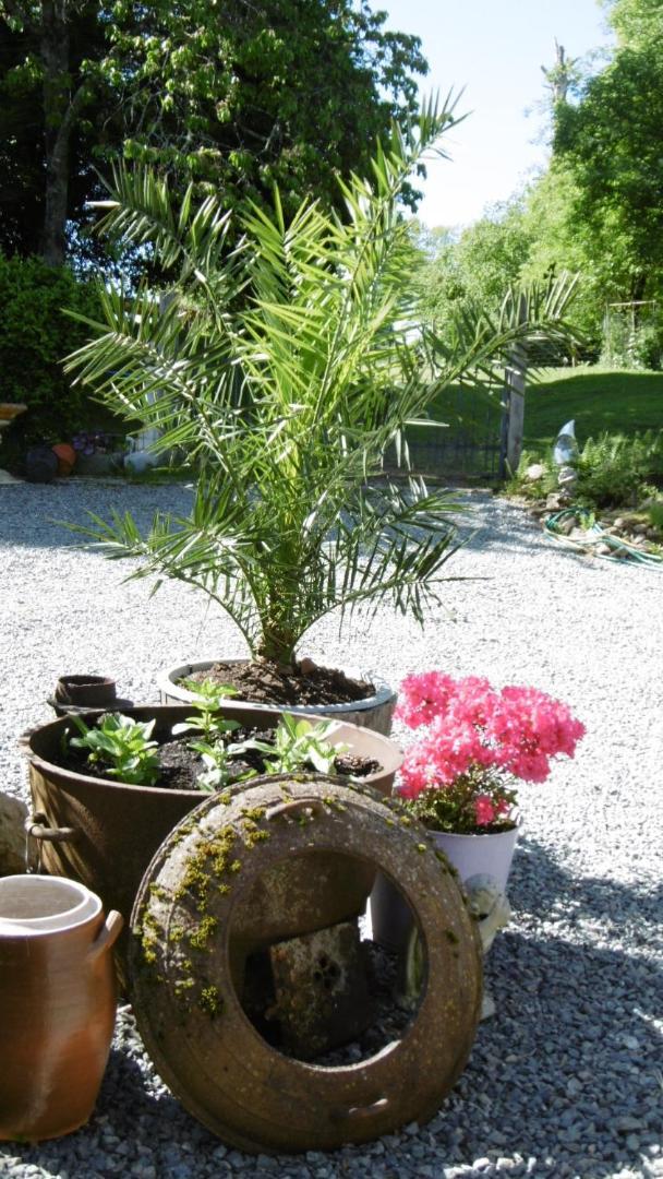 Lazy Days Bed and Breakfast Rancon Εξωτερικό φωτογραφία