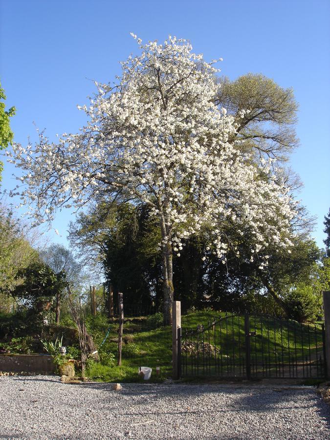 Lazy Days Bed and Breakfast Rancon Εξωτερικό φωτογραφία